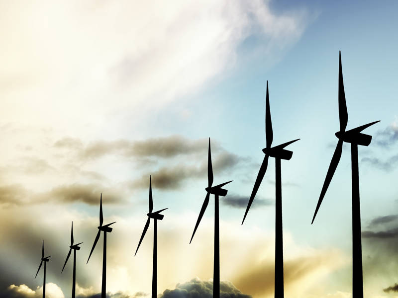 Gaining experience in net zero industries